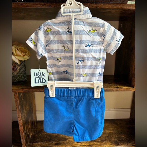 Little Lad baby boy outfit size 3-6 months shorts set NWT - Picture 4 of 6